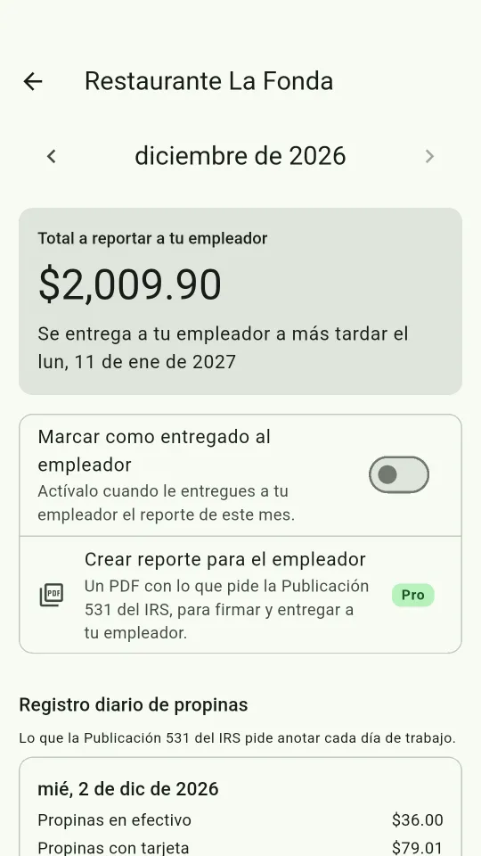 Vista del mes de diciembre: total a reportar y fecha límite, lunes 11 de enero de 2027.